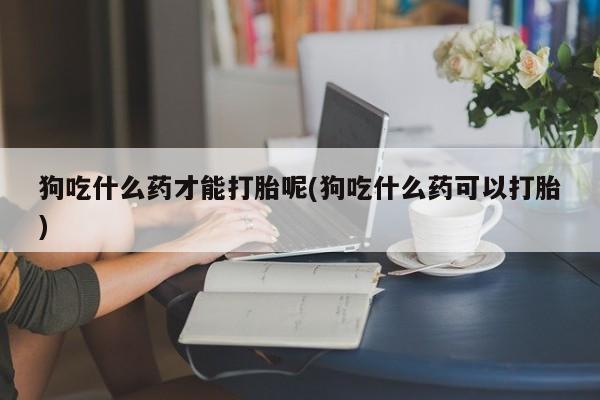 流产药在线购买狗吃什么药才能打胎呢(狗吃什么药可以打胎)