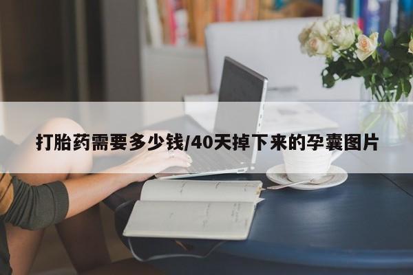 流产药在线购买打胎药需要多少钱/40天掉下来的孕囊图片